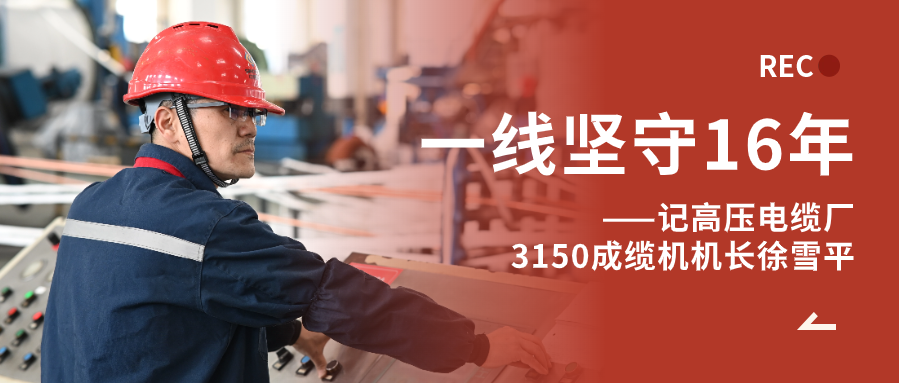 徐雪平：匠“成”于心，十六年篳路“纜”縷