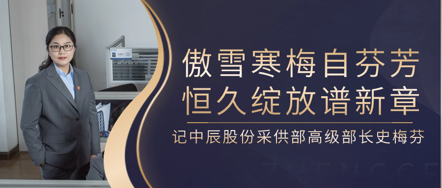 傲雪寒梅自芬芳，恒久綻放譜新章——記中辰股份采供部高級部長(cháng)史梅芬