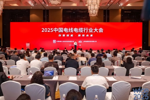 連續10年！中辰股份榮膺“2025中國線(xiàn)纜產(chǎn)業(yè)最具競爭力企業(yè)100強”